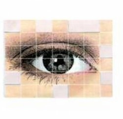 Association des personnes handicapées visuelles